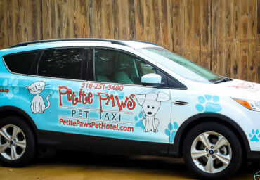 Pet Taxi Please!