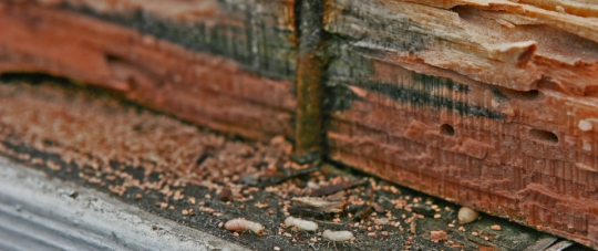 Protecting Homes and Businesses for Over 50 Years